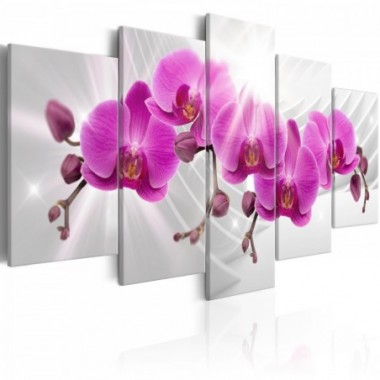 Quadro - Abstract Garden: Pink Orchids - 100x50