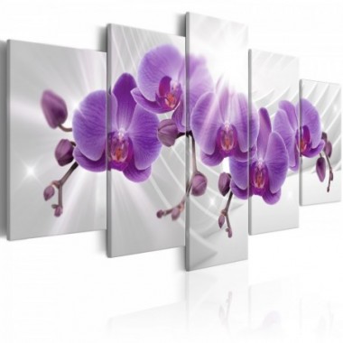Quadro - Abstract Garden: Purple Orchis - 100x50