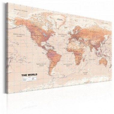 Quadro - World Map: Orange World - 90x60