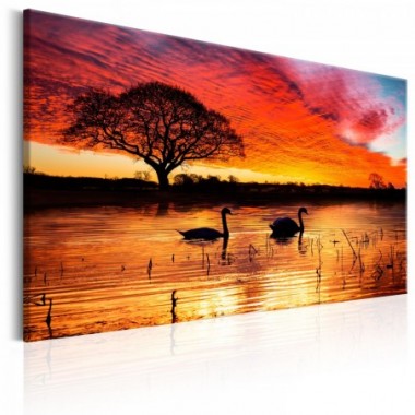 Quadro - Swan Lake - 90x60