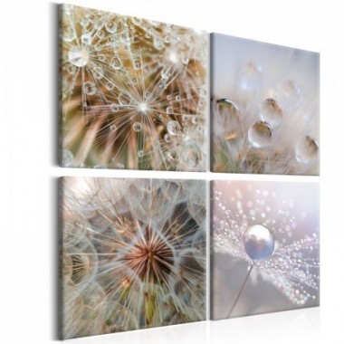 Quadro - Morning Glow - 40x40