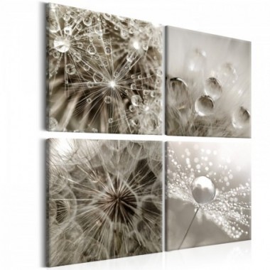 Quadro - Grey Dandelion - 80x80