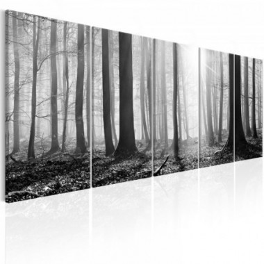 Quadro - Monochrome Forest - 200x80