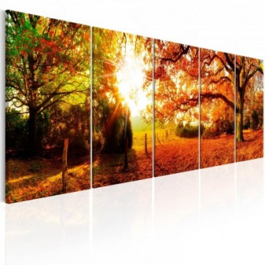 Quadro - Enchanting Autumn - 225x90
