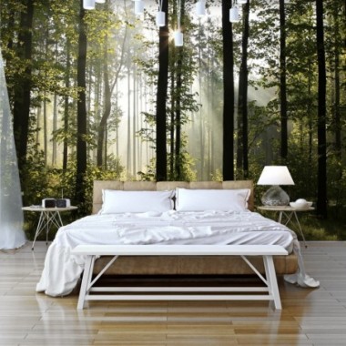 Fotomurale adesivo - Forest: Morning Sunlight  -...