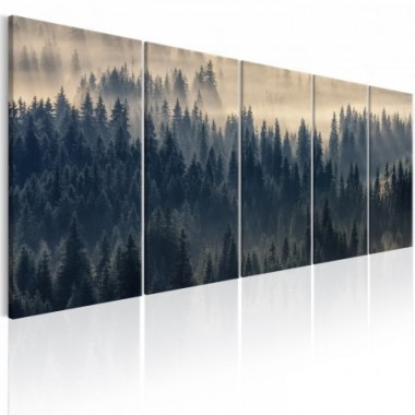 Quadro - Fir in the Fog - 225x90