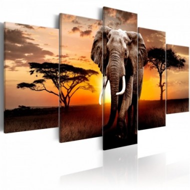 Quadro - Elephant Migration - 100x50