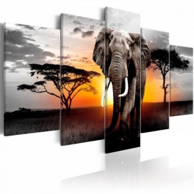 Quadro - Elephant at Sunset - 100x50