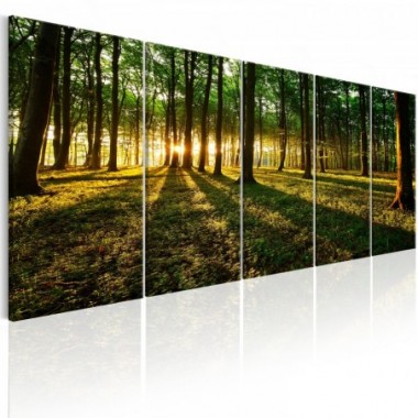Quadro - Shade of Trees I - 225x90