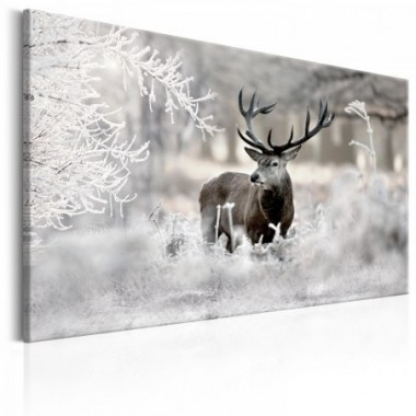 Quadro - Lonely Deer - 120x80