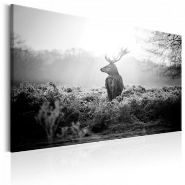 Quadro - Black and White Deer - 90x60