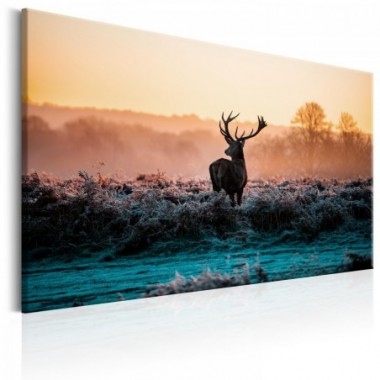 Quadro - Frosted Field - 120x80