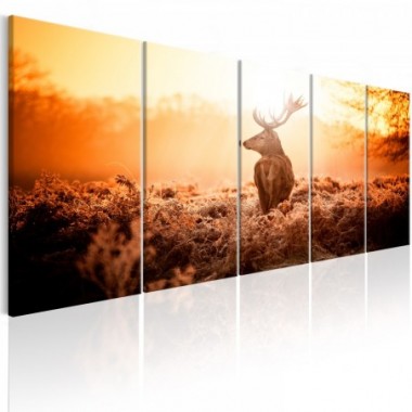 Quadro - Deer at Sunset - 200x80