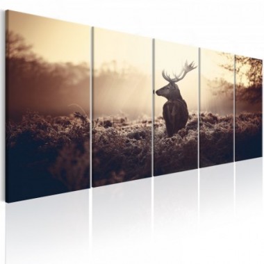 Quadro - Stag in the Wilderness - 200x80