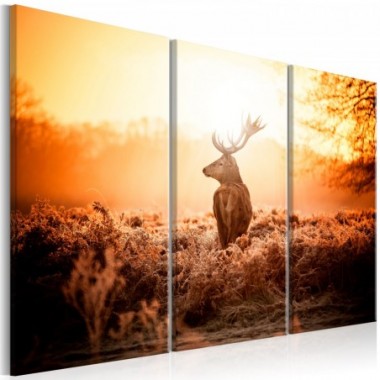 Quadro - Deer in the Sun I - 120x80