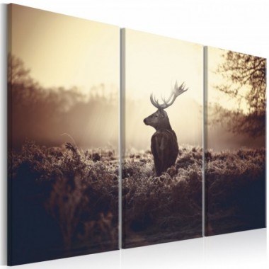 Quadro - Lurking Deer I - 120x80