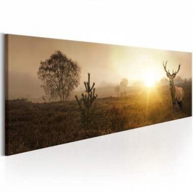 Quadro - Foggy Morning - 135x45