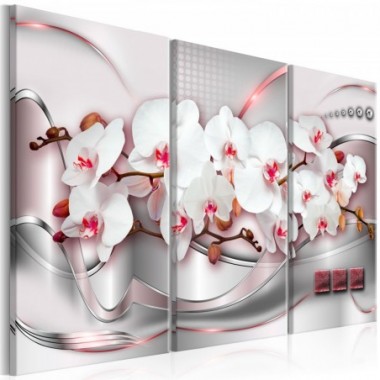 Quadro - Wonderful Orchids I - 120x80