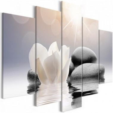 Quadro - Natural Lightness (5 Parts) Wide - 200x100