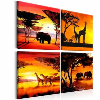 Quadro - African Animals (4 Parts) - 60x60