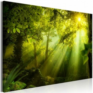 Quadro - In the Sunshine (1 Part) Wide - 90x60