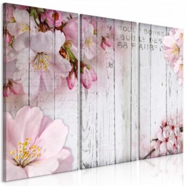 Quadro - Flowers on Boards (3 Parts) - 120x80