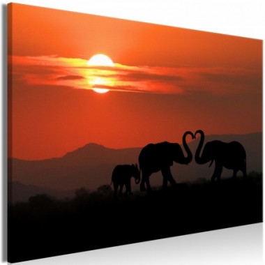 Quadro - Elephants in Love (1 Part) Wide - 60x40