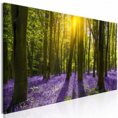 Quadro - Hyacinth Field (1 Part) Narrow - 150x50
