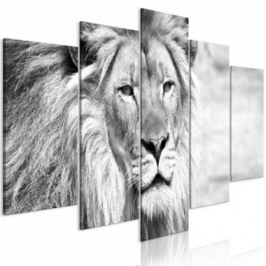 Quadro - The King of Beasts (5 Parts) Wide Black and...