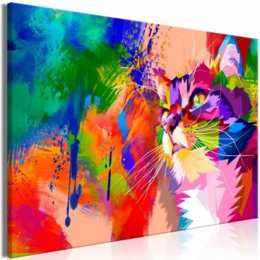 Quadro - Colourful Cat (1 Part) Wide - 120x80