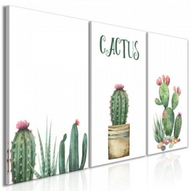 Quadro - Prickly Flowers (3 Parts) - 120x60