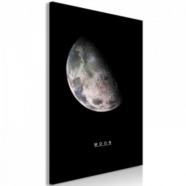 Quadro - Moon (1 Part) Vertical - 40x60