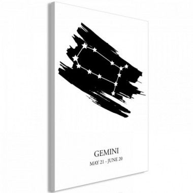 Quadro - Zodiac Signs: Gemini (1 Part) Vertical - 40x60