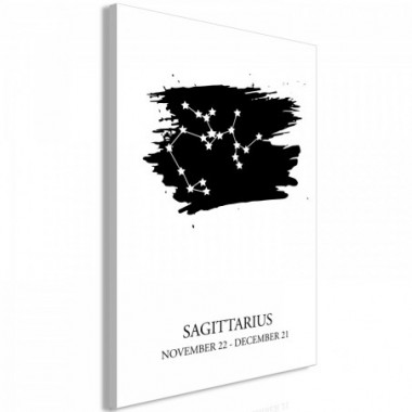 Quadro - Zodiac Signs: Sagittarius (1 Part) Vertical...