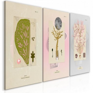 Quadro - Trees (Collection) - 120x60