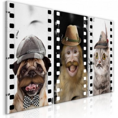 Quadro - Funny Pets (Collection) - 60x30