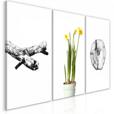 Quadro - Nature (Collection) - 120x60