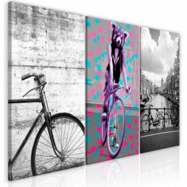Quadro - Bikes (Collection) - 120x60