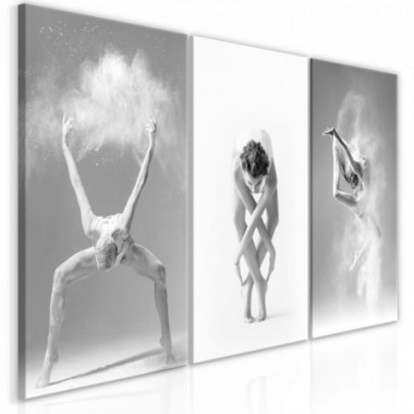 Quadro - Ballet (Collection) - 60x30