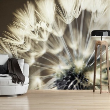 Fotomurale - Beautiful Summer Morning - 100x70