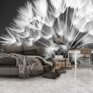 Fotomurale - Dandelion: Kiss of the Morning - 100x70