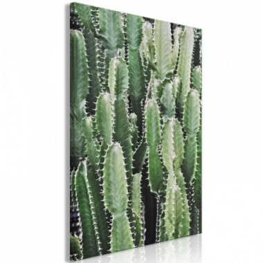 Quadro - Cactus Garden (1 Part) Vertical - 40x60