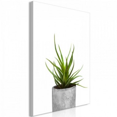 Quadro - Haworthia (1 Part) Vertical - 80x120