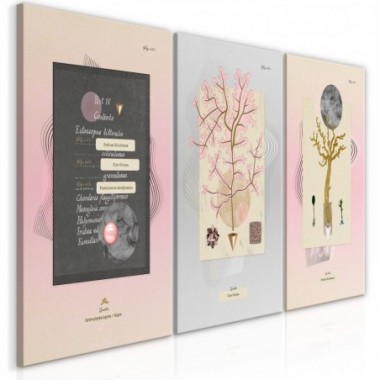 Quadro - Unusual Plants (3 Parts) - 120x60