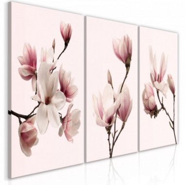 Quadro - Spring Magnolias (3 Parts) - 120x60