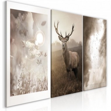 Quadro - Autumn Evenings (3 Parts) - 120x60