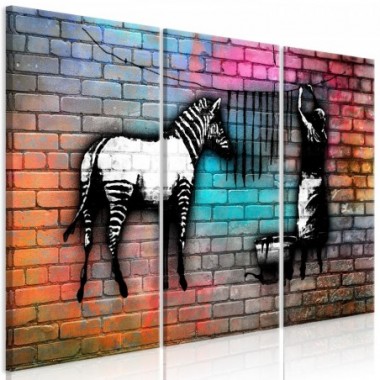 Quadro - Washing Zebra - Colourful Brick (3 Parts) -...