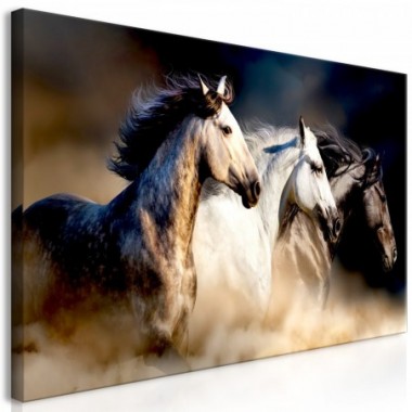 Quadro - Sons of the Wind (1 Part) Wide - 120x60