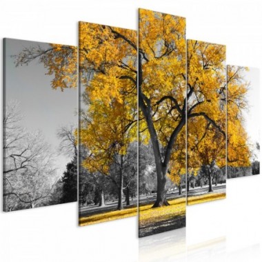 Quadro - Autumn in the Park (5 Parts) Wide Gold -...