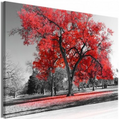 Quadro - Autumn in the Park (1 Part) Wide Red - 90x60